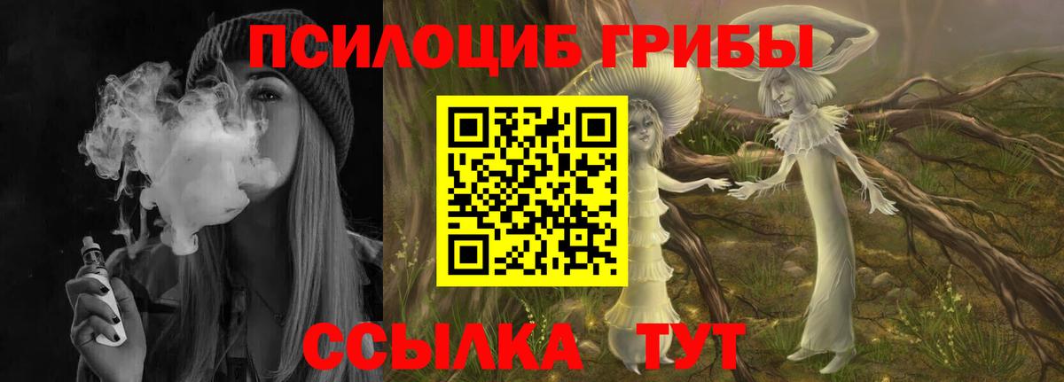 Новокубанск  Псилоцибиновые грибы ЛСД  Галлюциногенные грибы мухоморы  Вход с VPN 